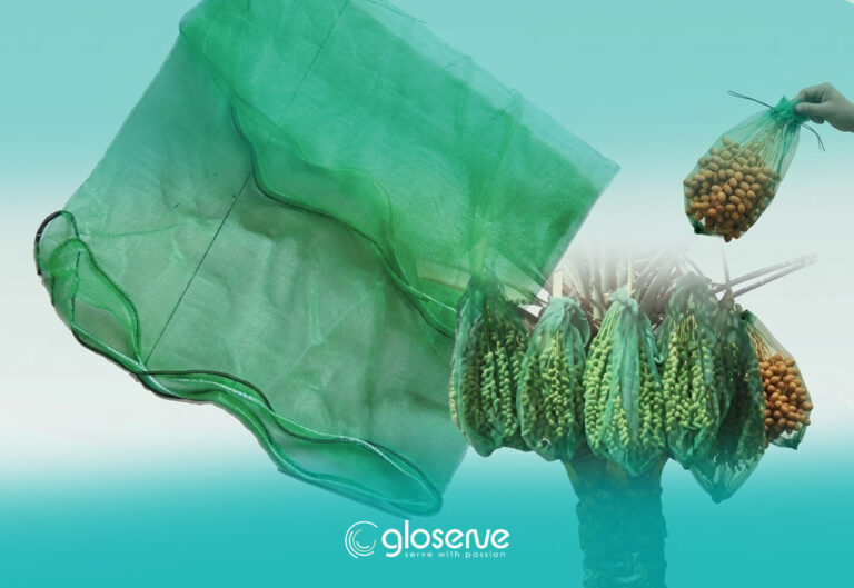 PE Mesh Net Bags